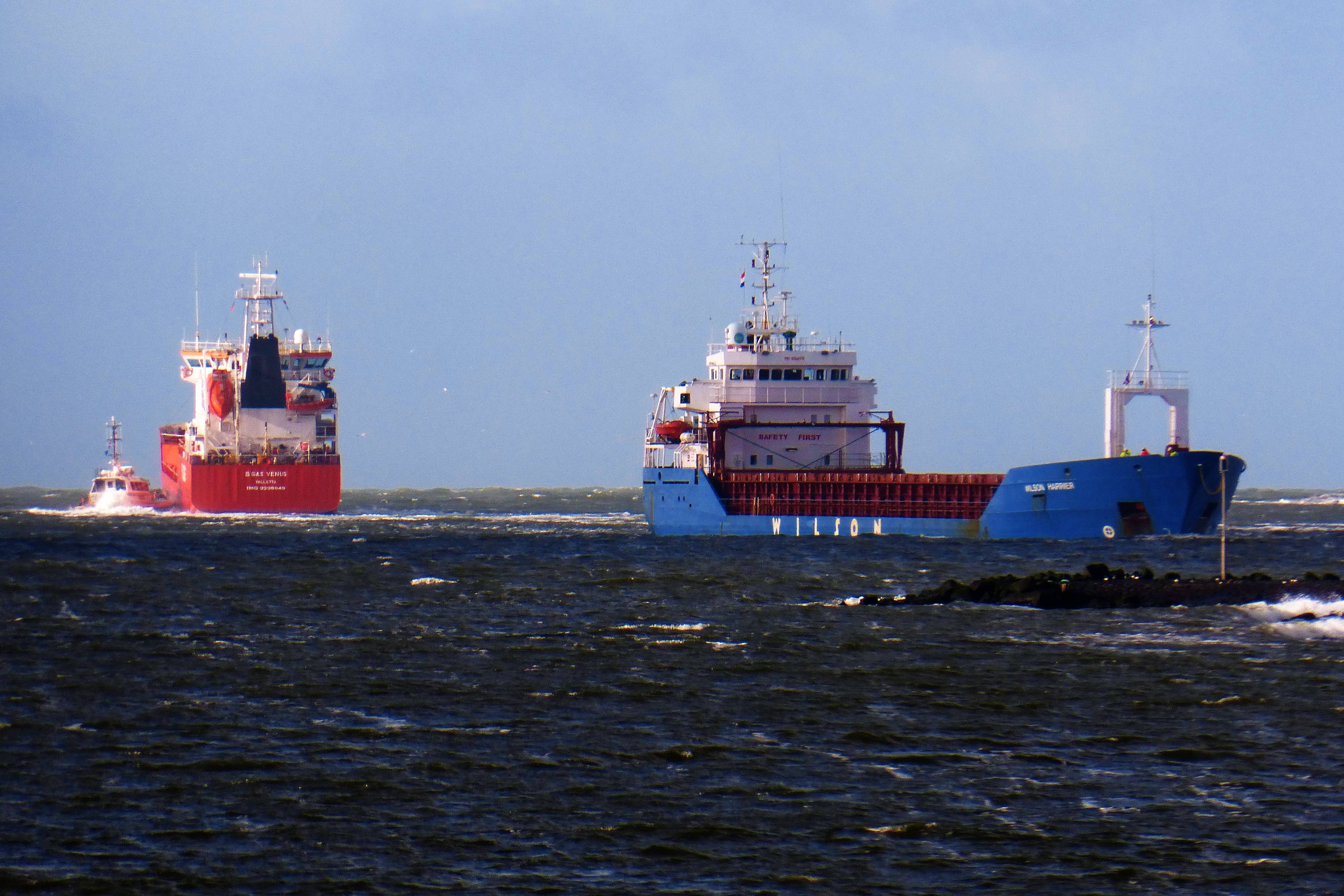 Pieren IJmuiden   18-01-20 